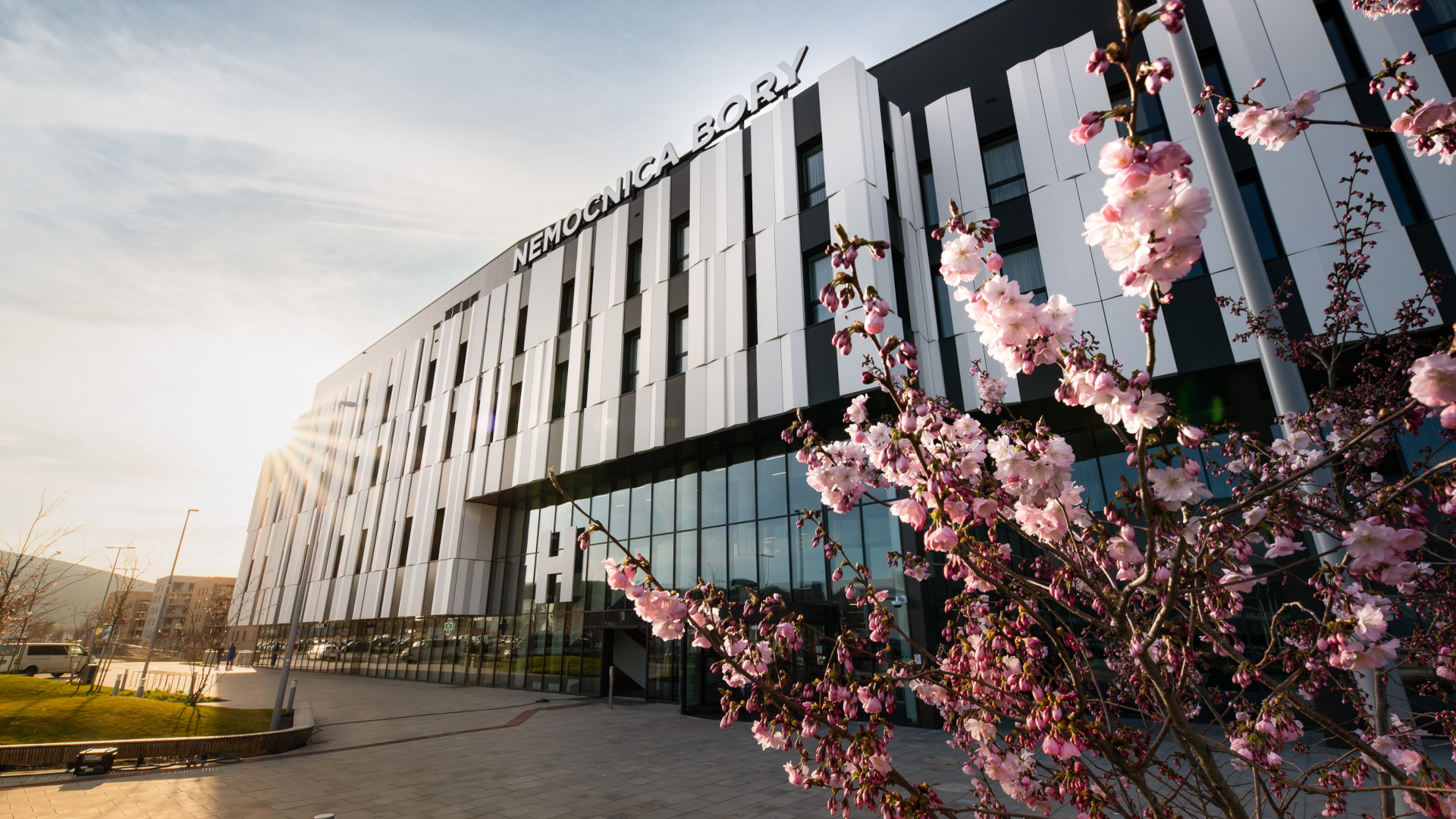 borybgparallaxdesktop