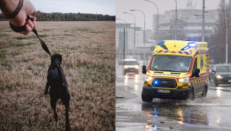 Tisíce psíčkarov končia