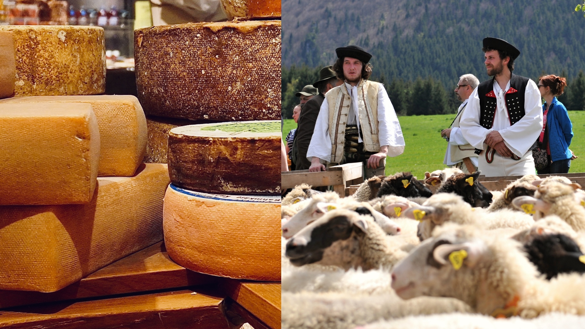 Unsplash_Izzedine Rouichi, TASR_Erika Ďurčová