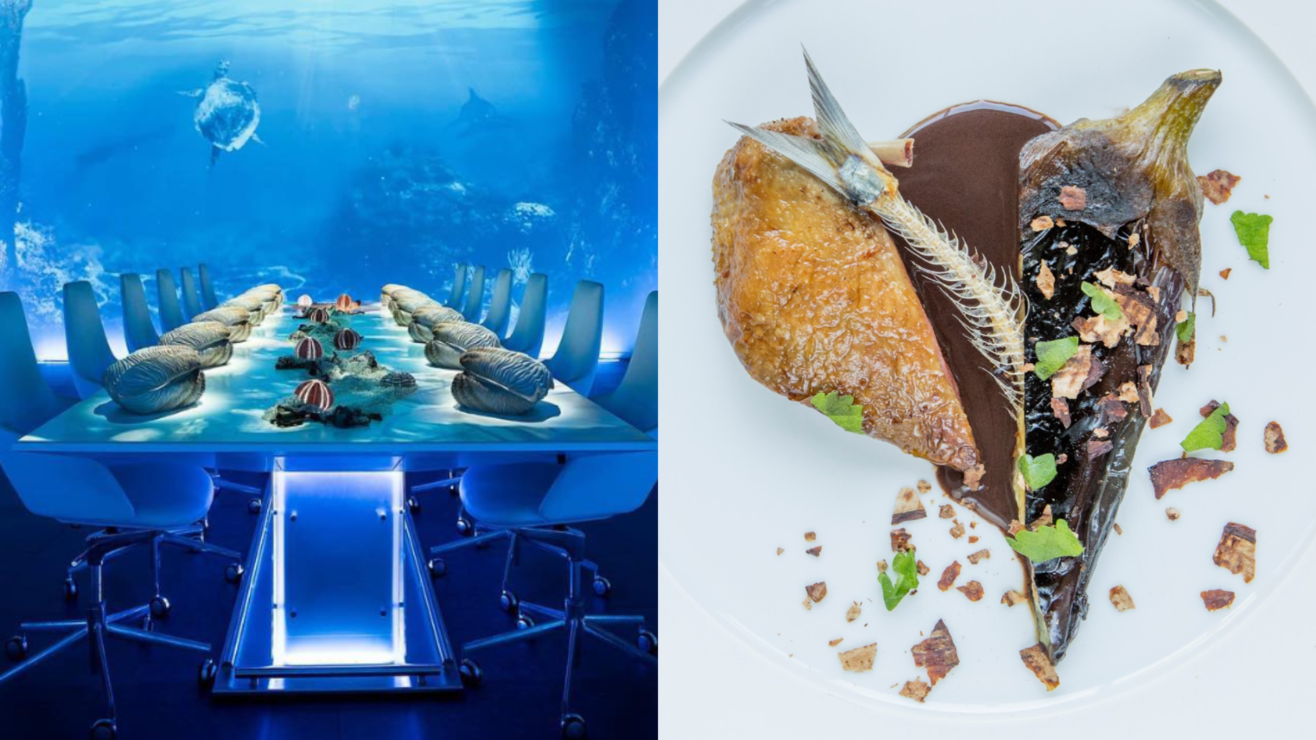 reštaurácia podnik peniaze luxus