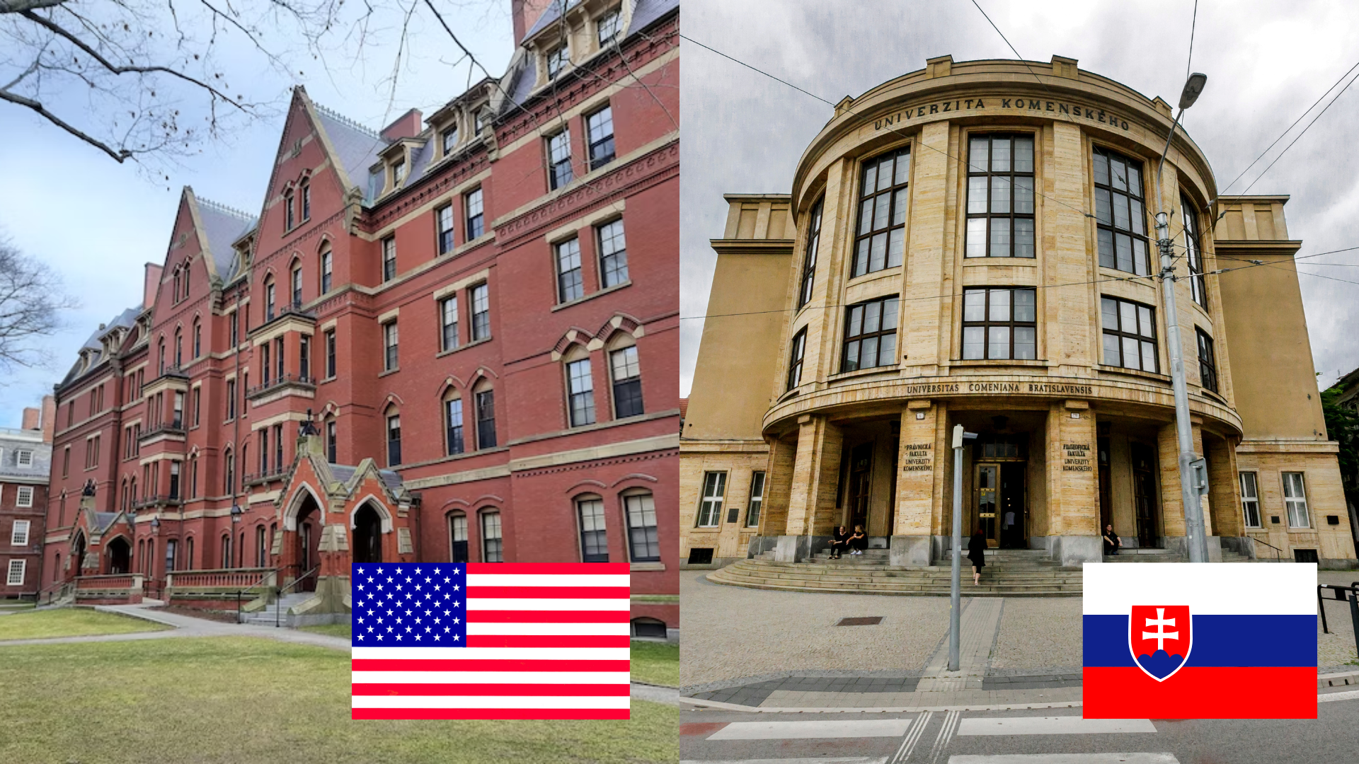 univerzita vysoká škola