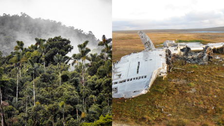 Amazonský prales a trosky havarovaného lietadla