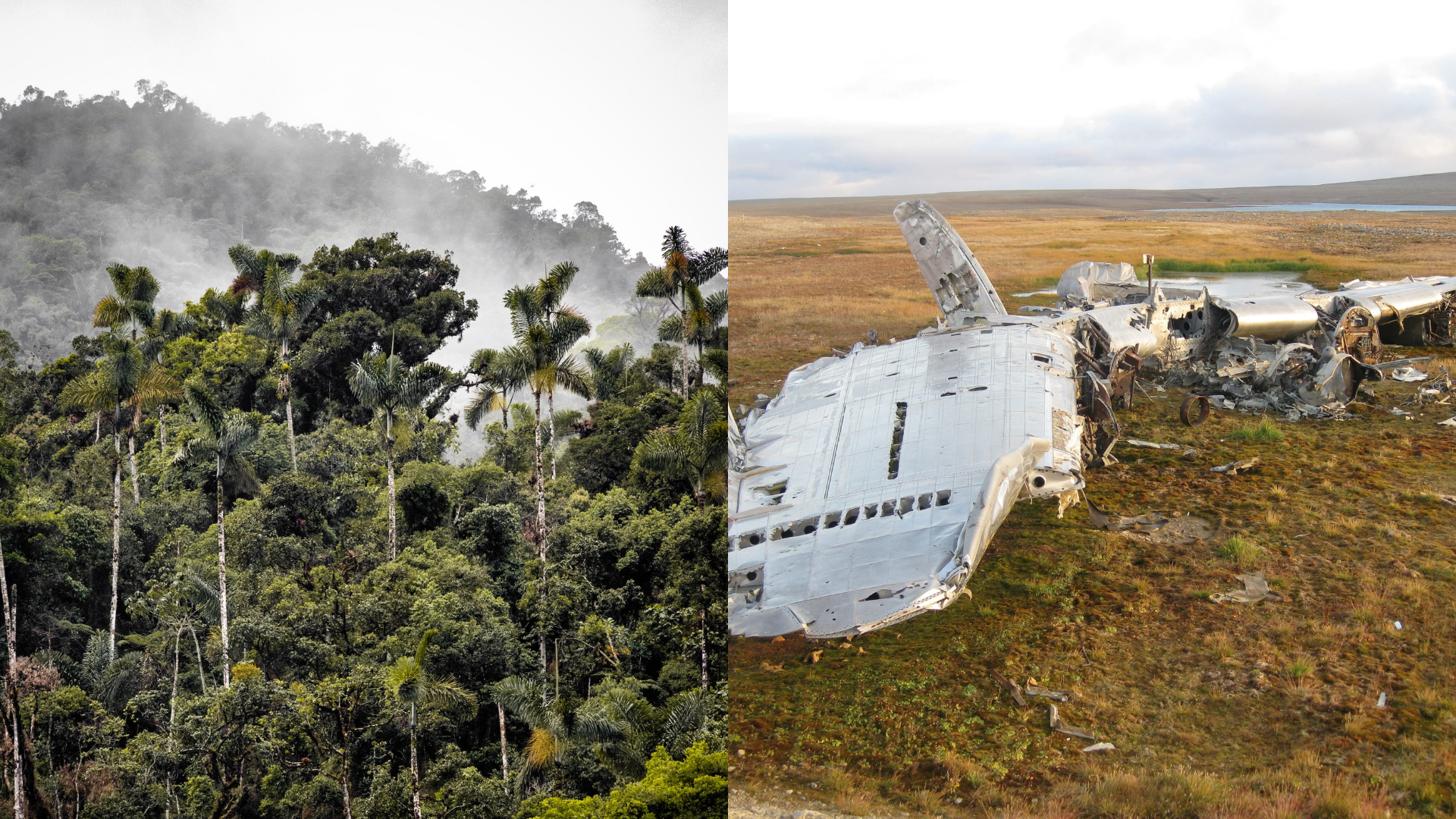 Amazonský prales a trosky havarovaného lietadla