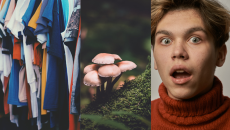 Oblečenie na stojane, huby v lese a prekvapený muž