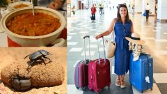 kapustnica, výkaly, hmyz a žena s kuframi