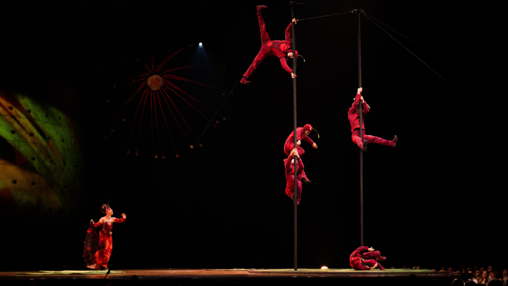Akrobati Slnečného cirkusu