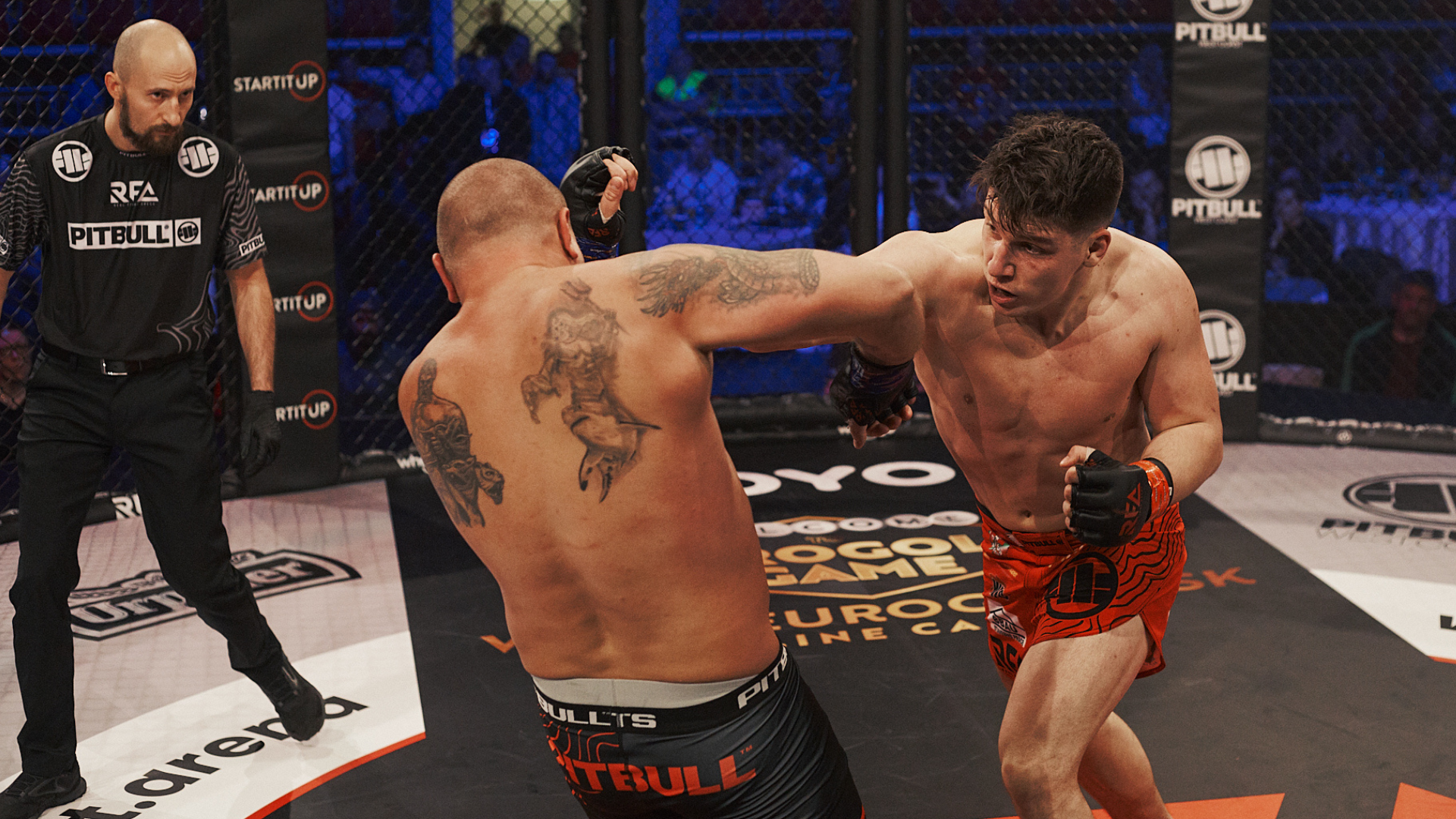 Untitled design (37)