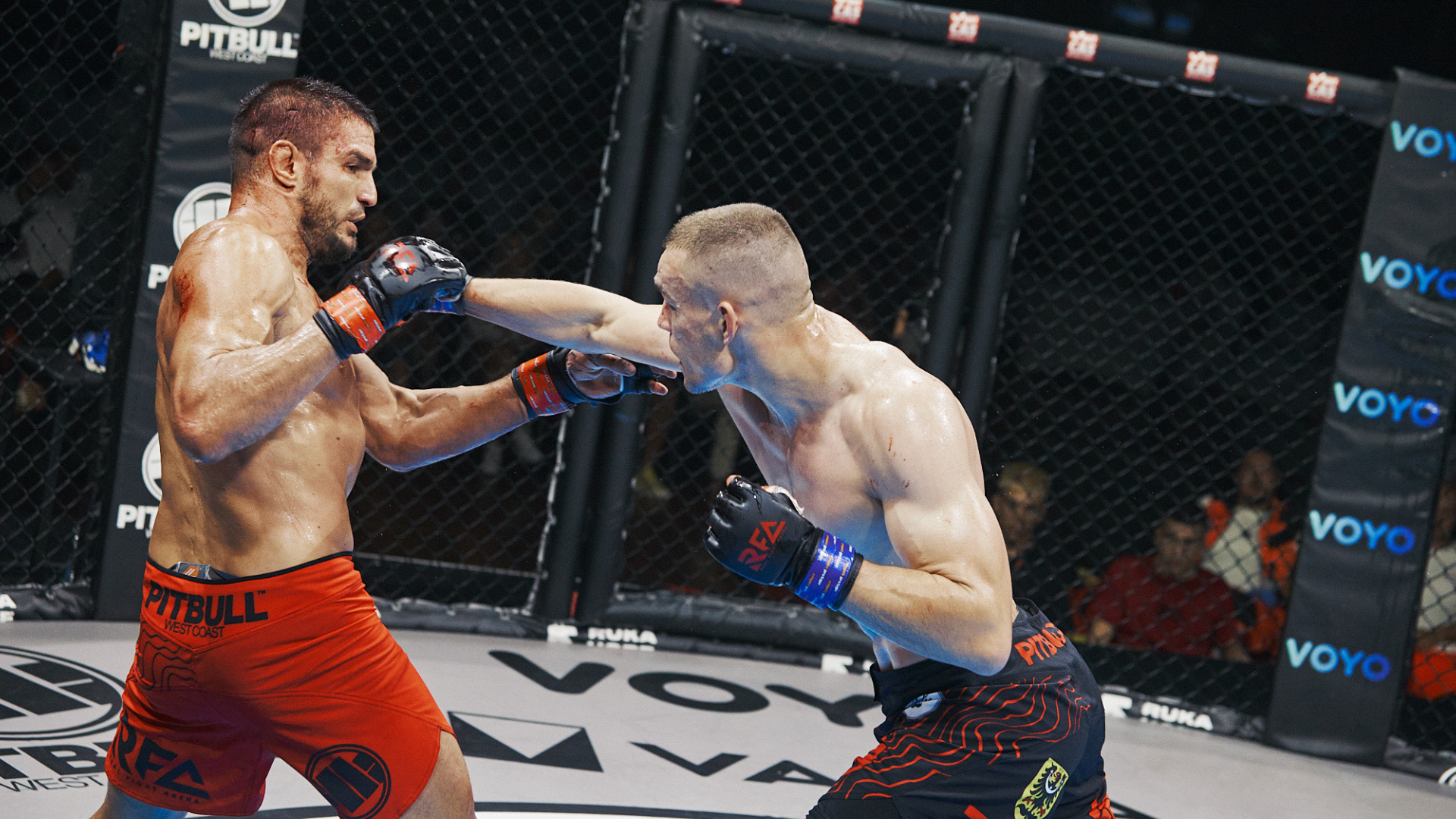 Untitled design (57)