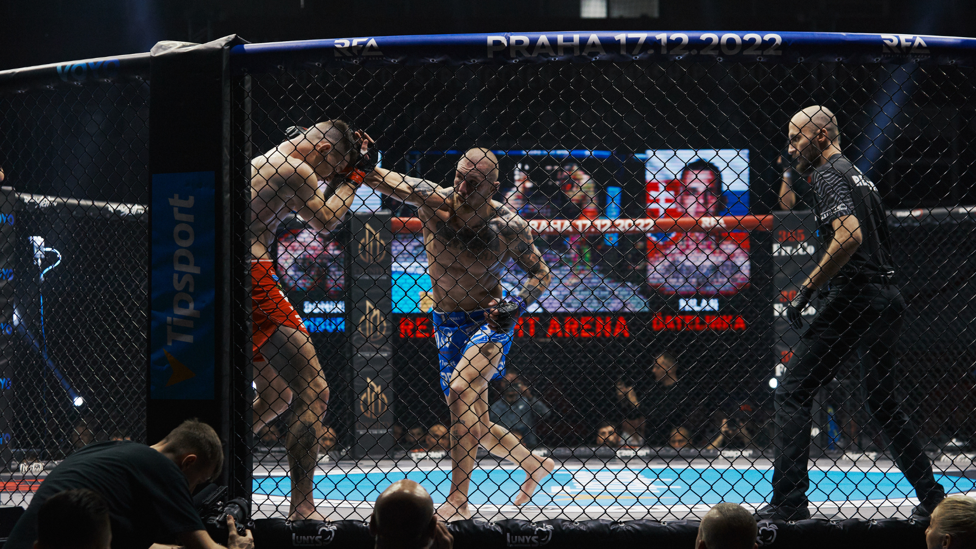 Untitled design (99)