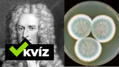 Isaac Newton, penicilín