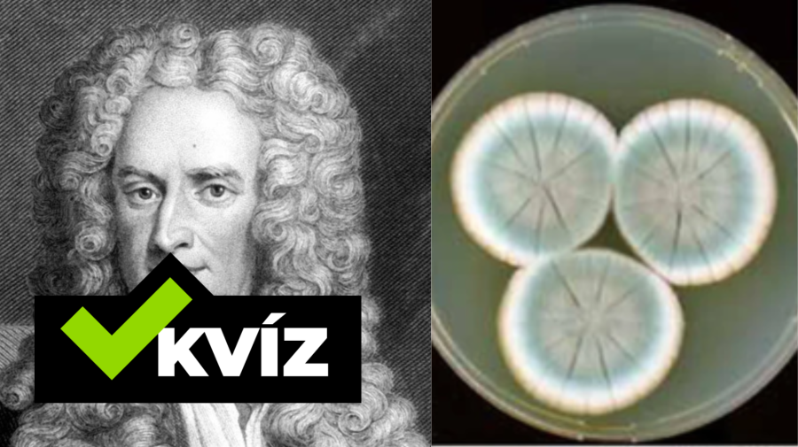 Isaac Newton, penicilín