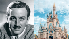 walt disney