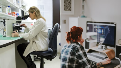 práca počítač žena zdravotníctvo administratíva