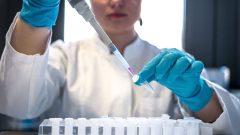 Obrovský pokrok: Umelé