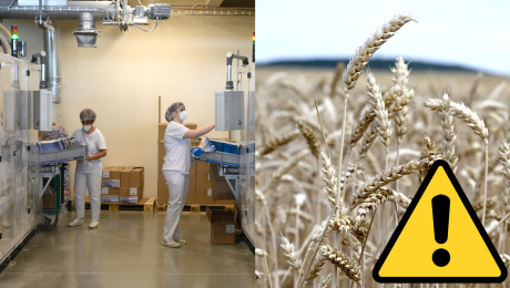 Zamestnankyne s rúškami pracujú v mlyne Kolárovo a pšenica