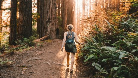 Lesná terapia pomáha telu aj duši