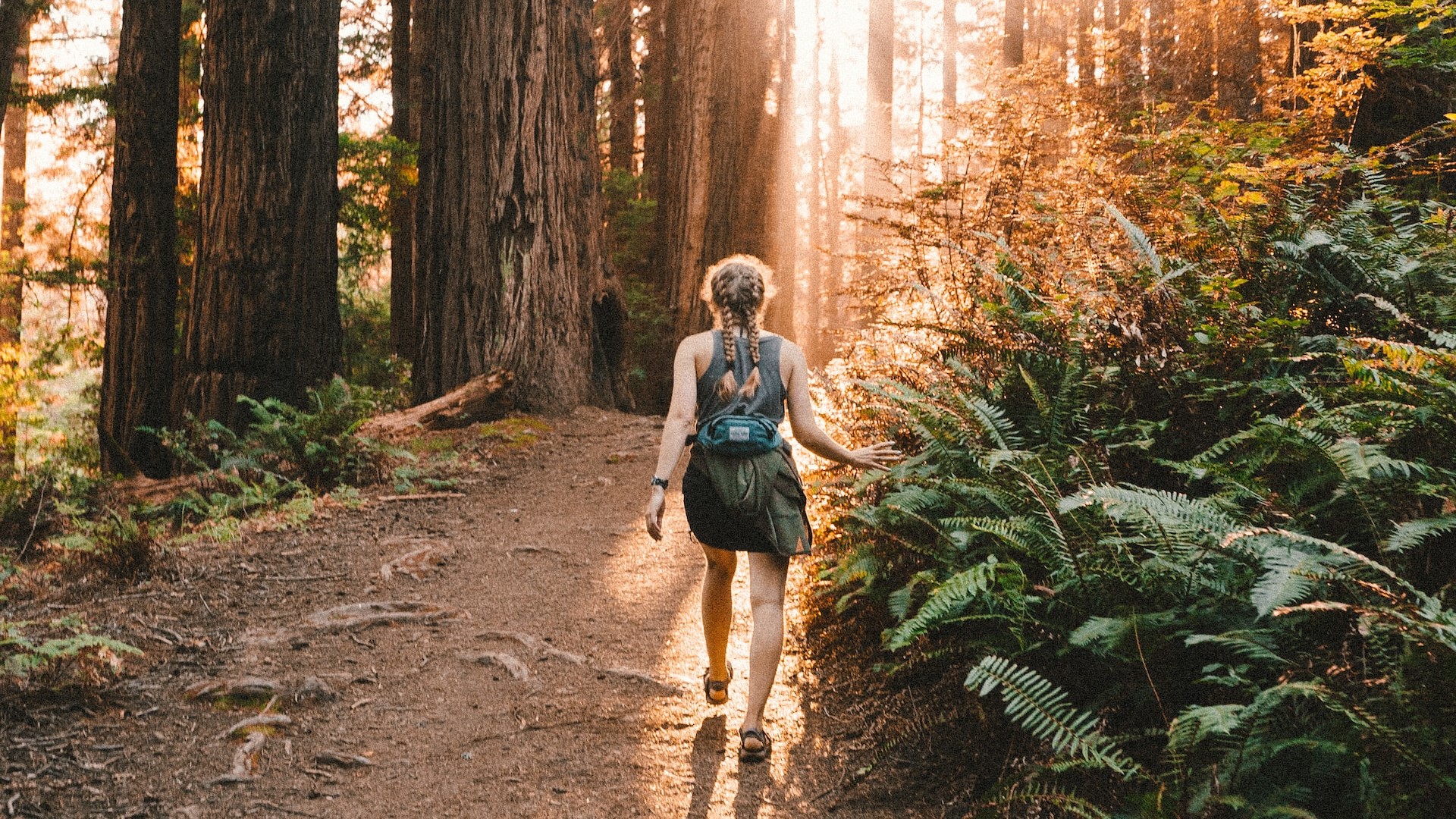 Lesná terapia pomáha telu aj duši