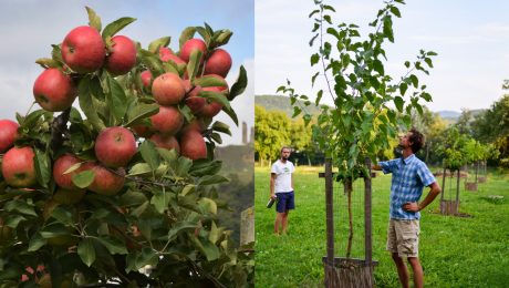 Bratislava ukrýva miesto,
