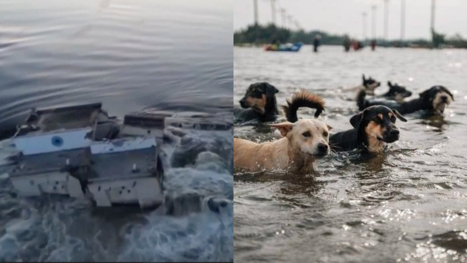 Následky zničenia Kachovskej priehrady