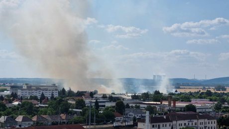 Požiar na poli pri Leviciach