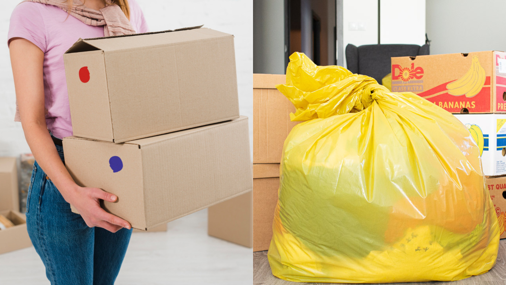 Untitled design – 2023-06-06T120022.234