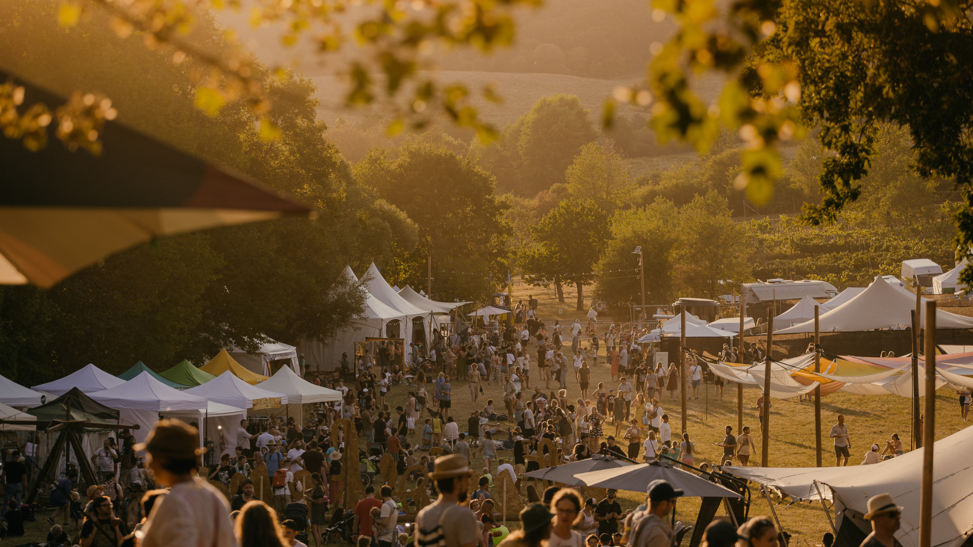 Untitled design – 2023-06-06T123925.283