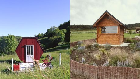 Apidomčeky na Slovensku