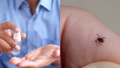 Sprej na ruky a kliešť na ruke