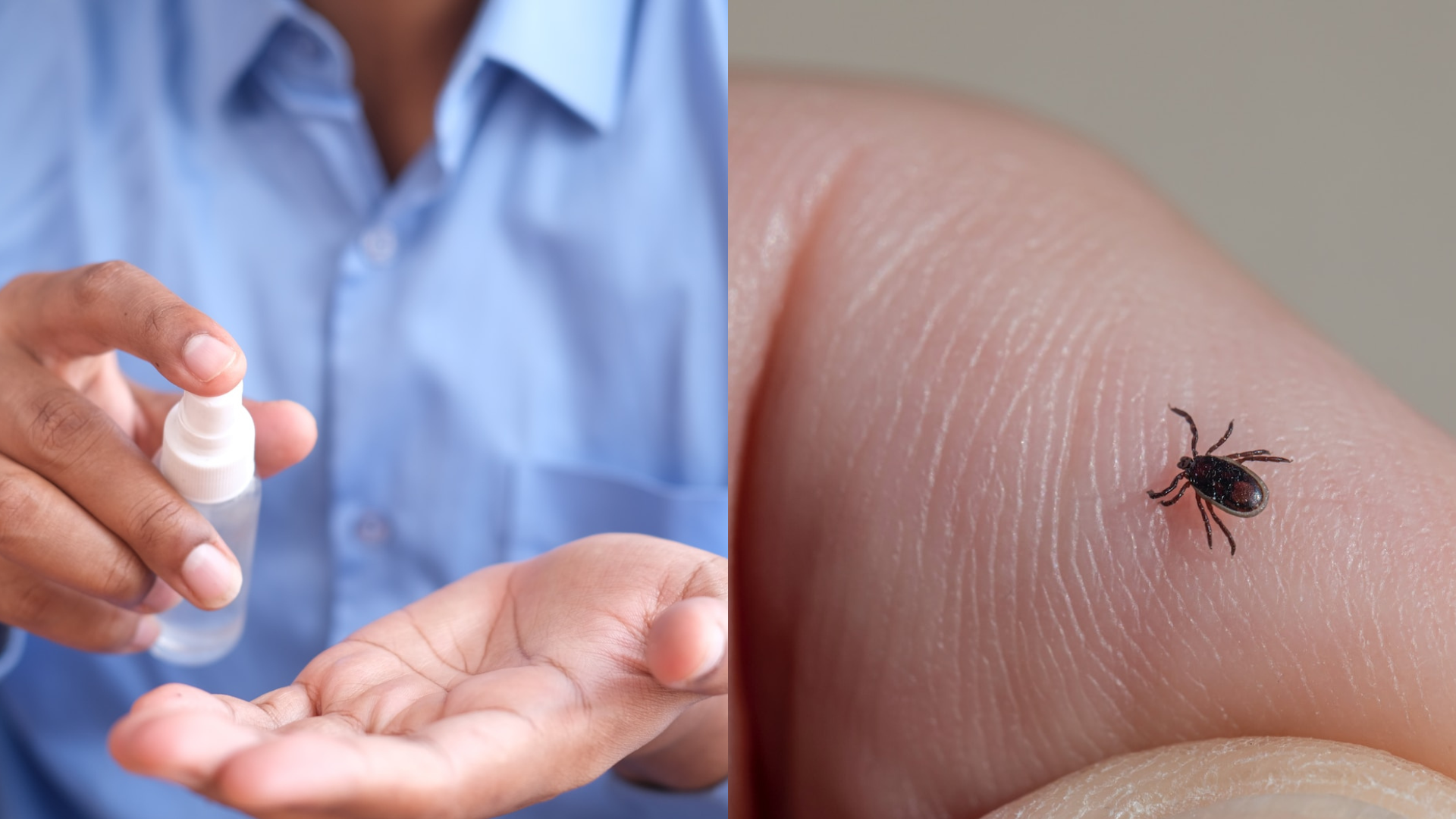Sprej na ruky a kliešť na ruke