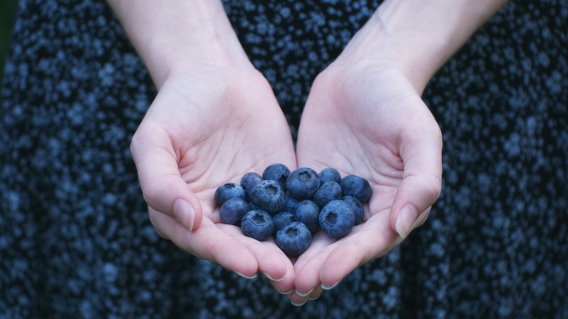 Samozber čučoriedok