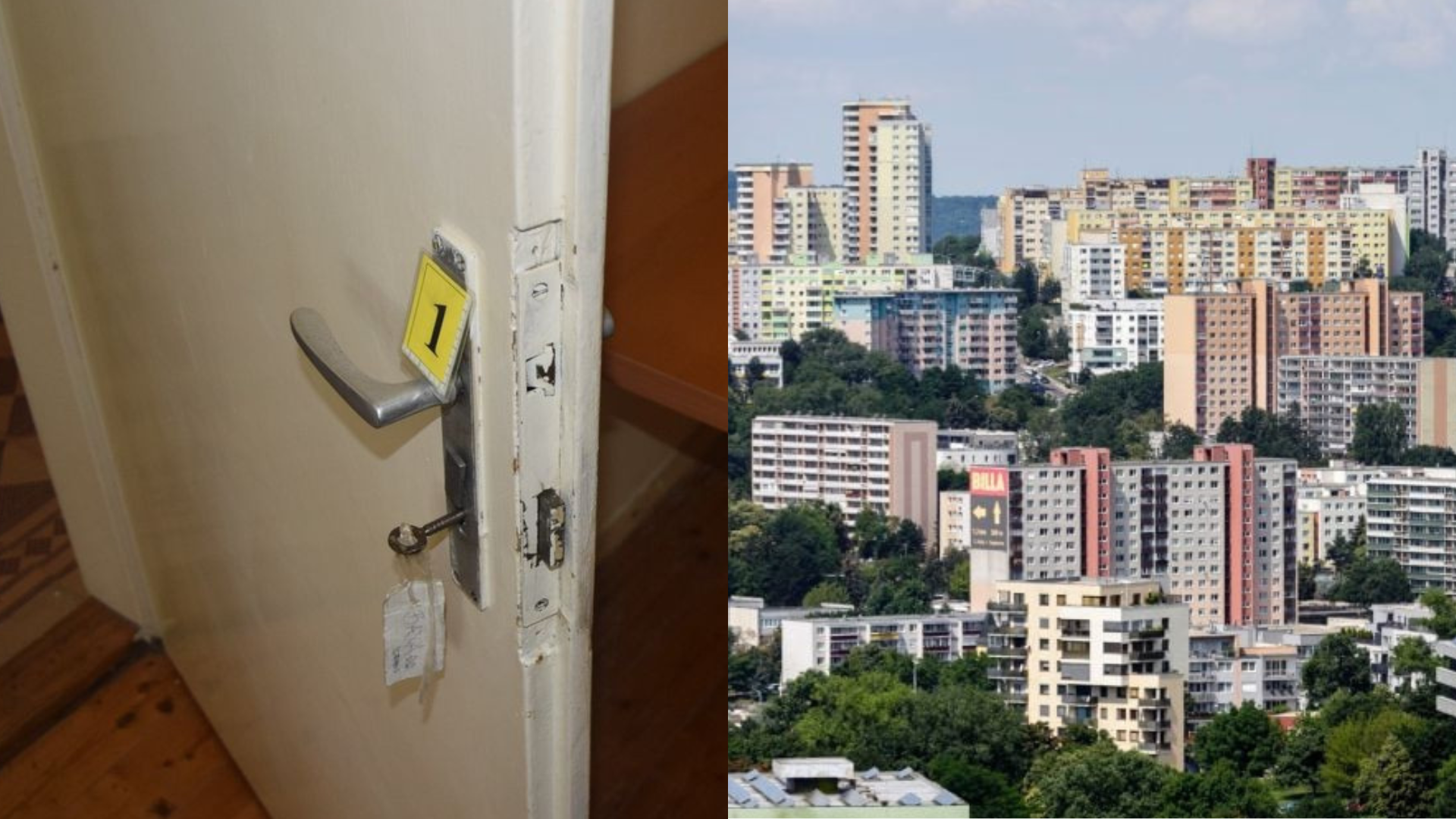 Untitled design – 2023-07-20T140452.669