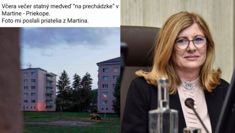 Hoax s medveďom, Gabriela Matečná