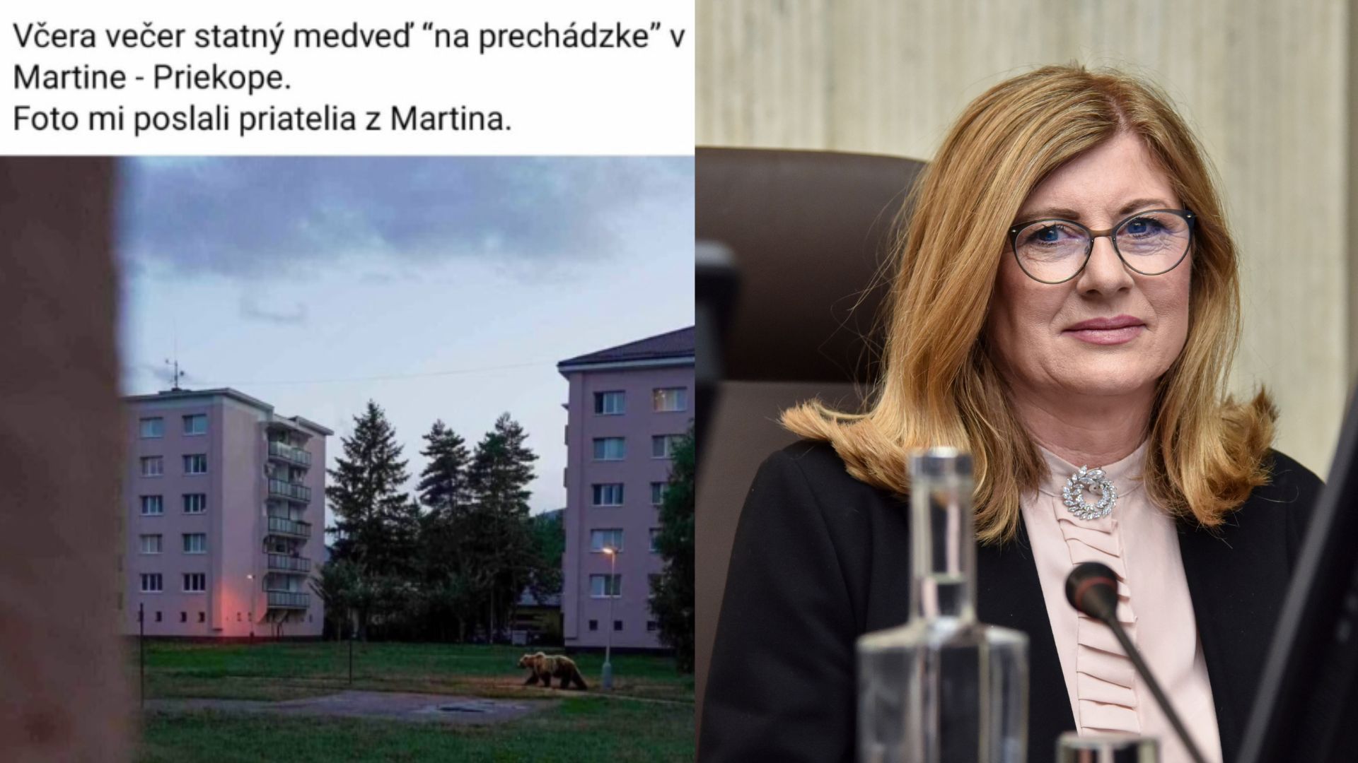 Hoax s medveďom, Gabriela Matečná