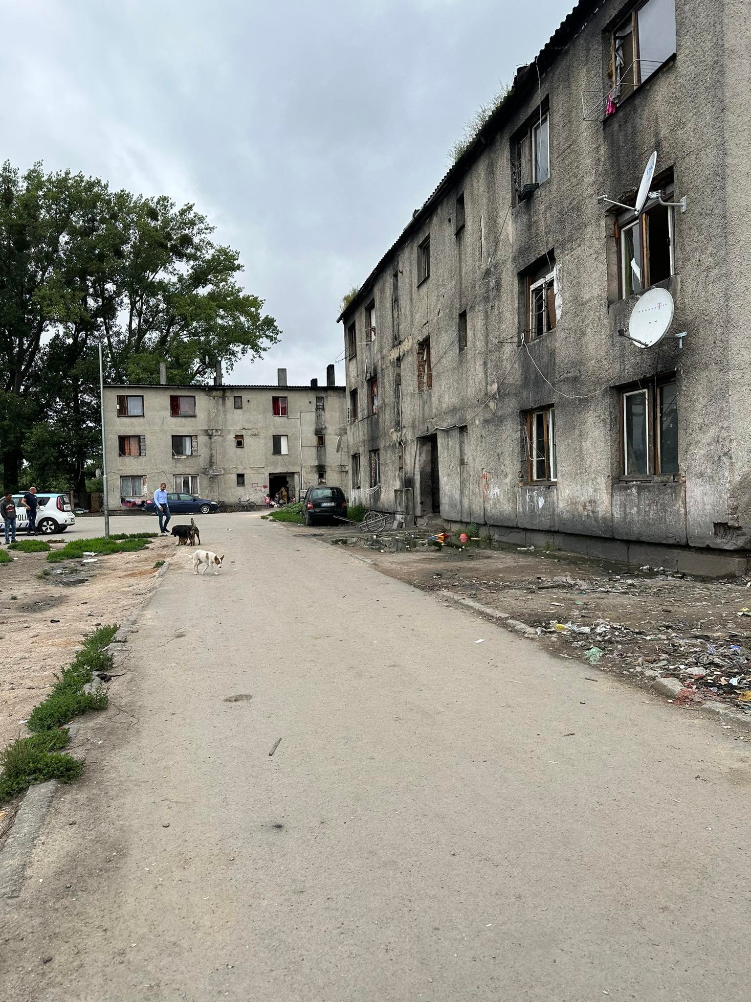 Ohnisko žltačky vo Veľkých Kapušanoch