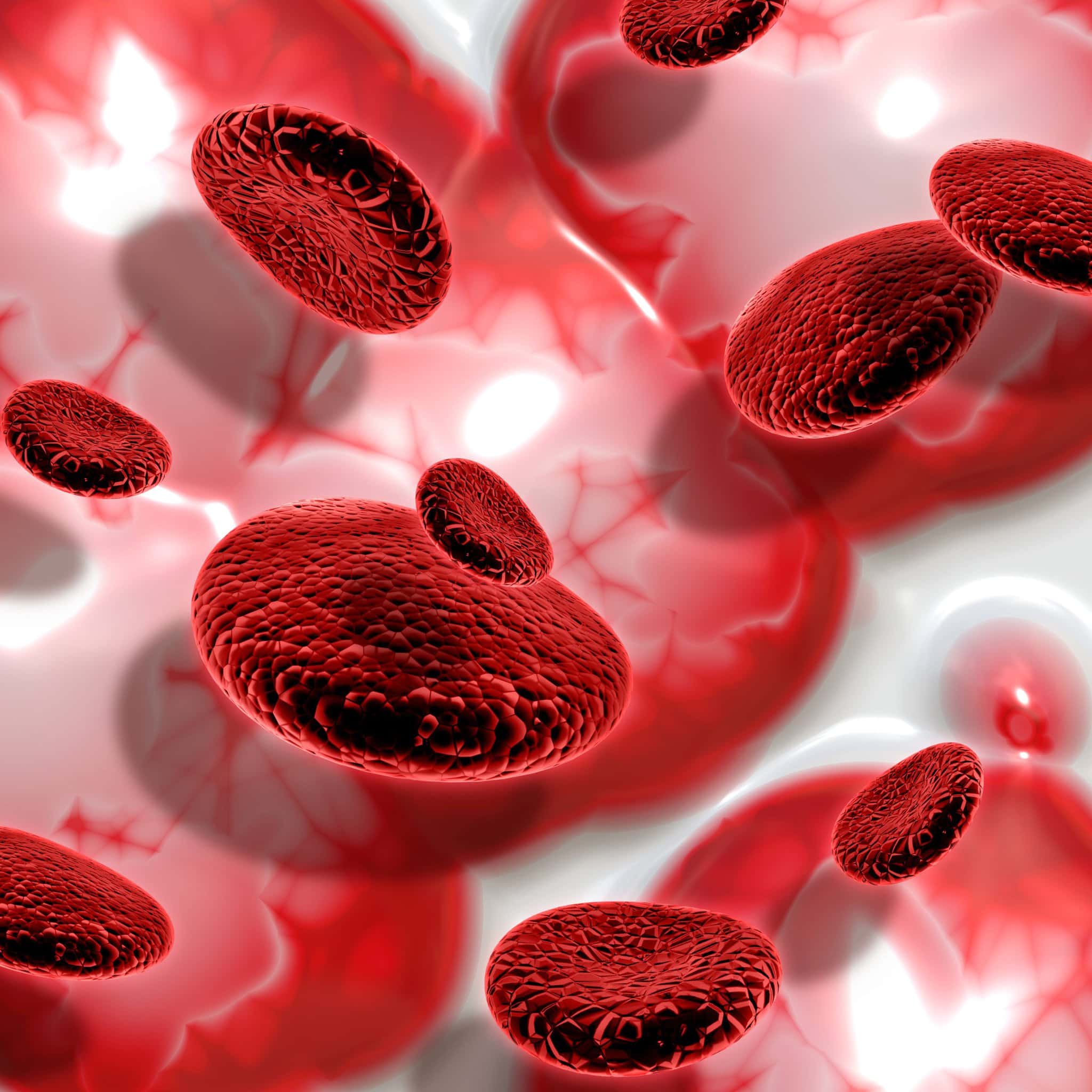 3d-render-blood-cells-abstract-background