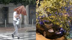 Na obrázku je človek pod dáždnikom a auto pod stromom.