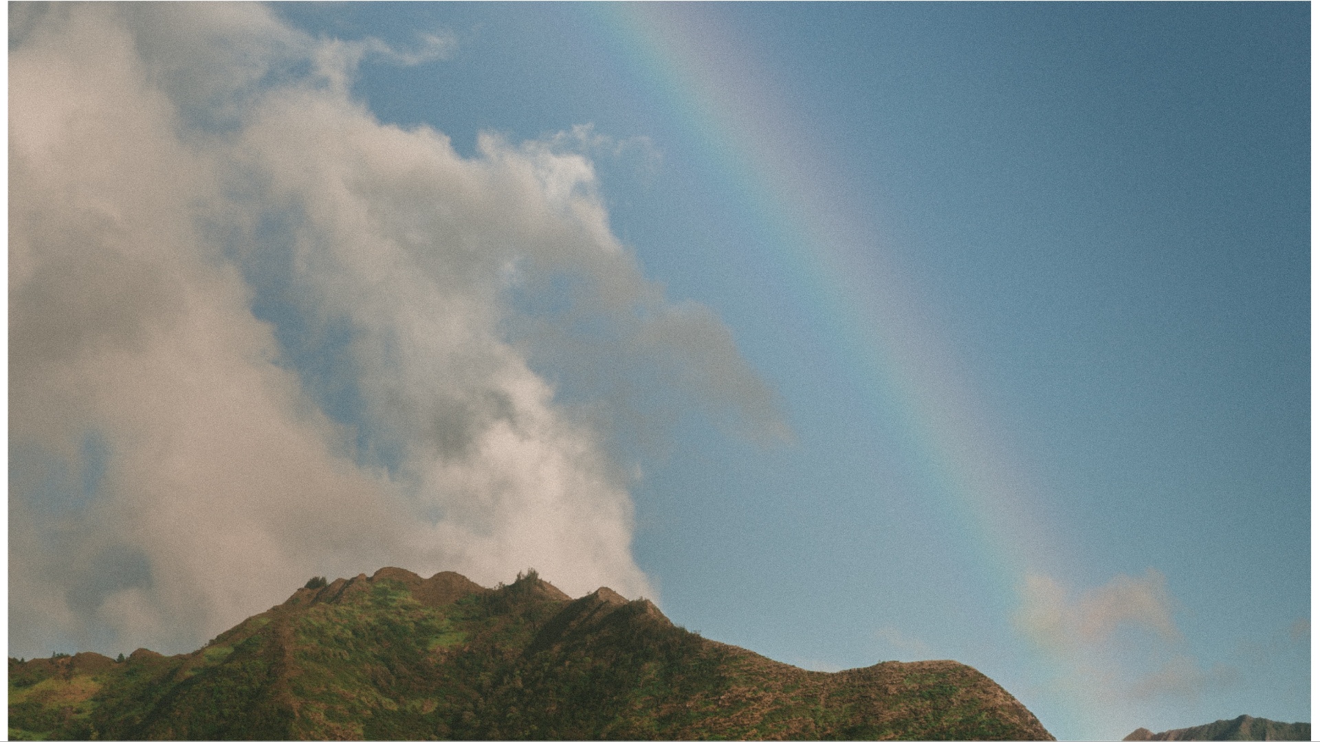 Collage Maker-03-Aug-2023-04-07-PM-8393