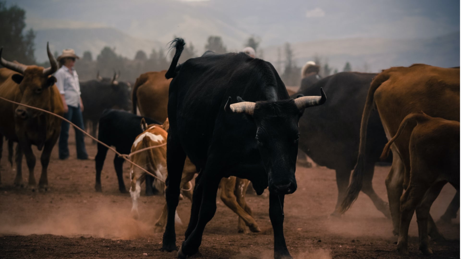 Collage Maker-04-Aug-2023-08-49-AM-8500