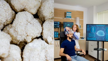 človek na elektroencefalografe a huba Lion's Mane