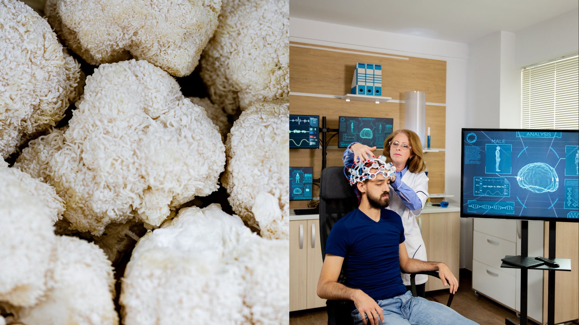 človek na elektroencefalografe a huba Lion's Mane