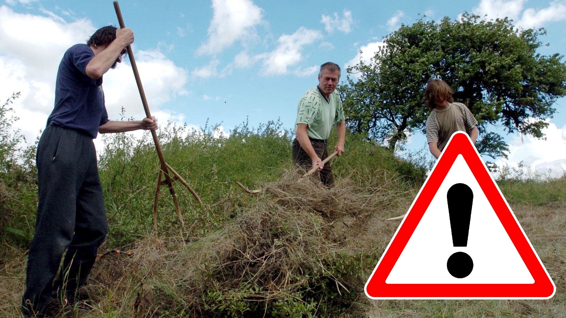 Na snímke ľudia kosiaci lúku