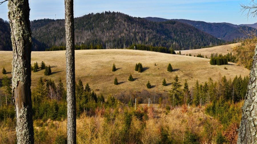 Na snímke horské lúky na Voniarkach v Dobšinskej Maši