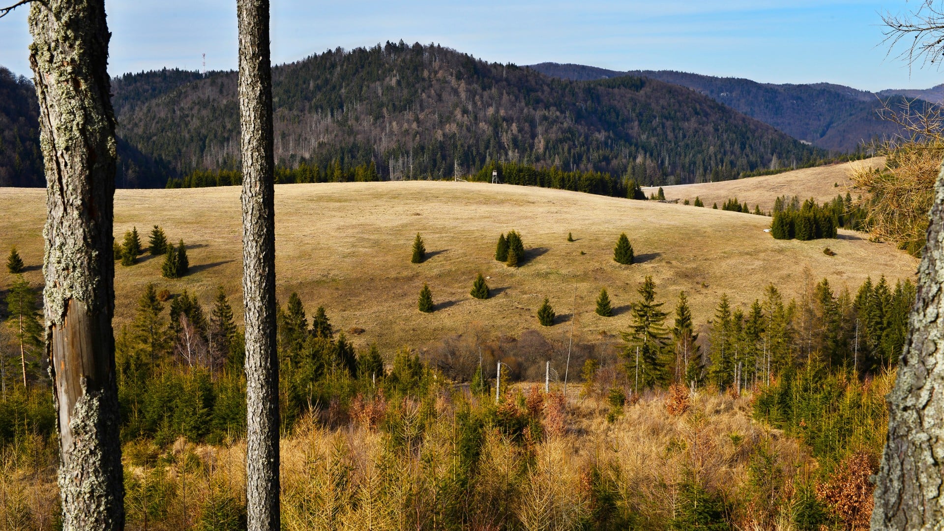 Na snímke horské lúky na Voniarkach v Dobšinskej Maši