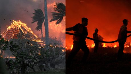 Na snímke lesný požiar, pri ktorom zasahujú aj hasiči.