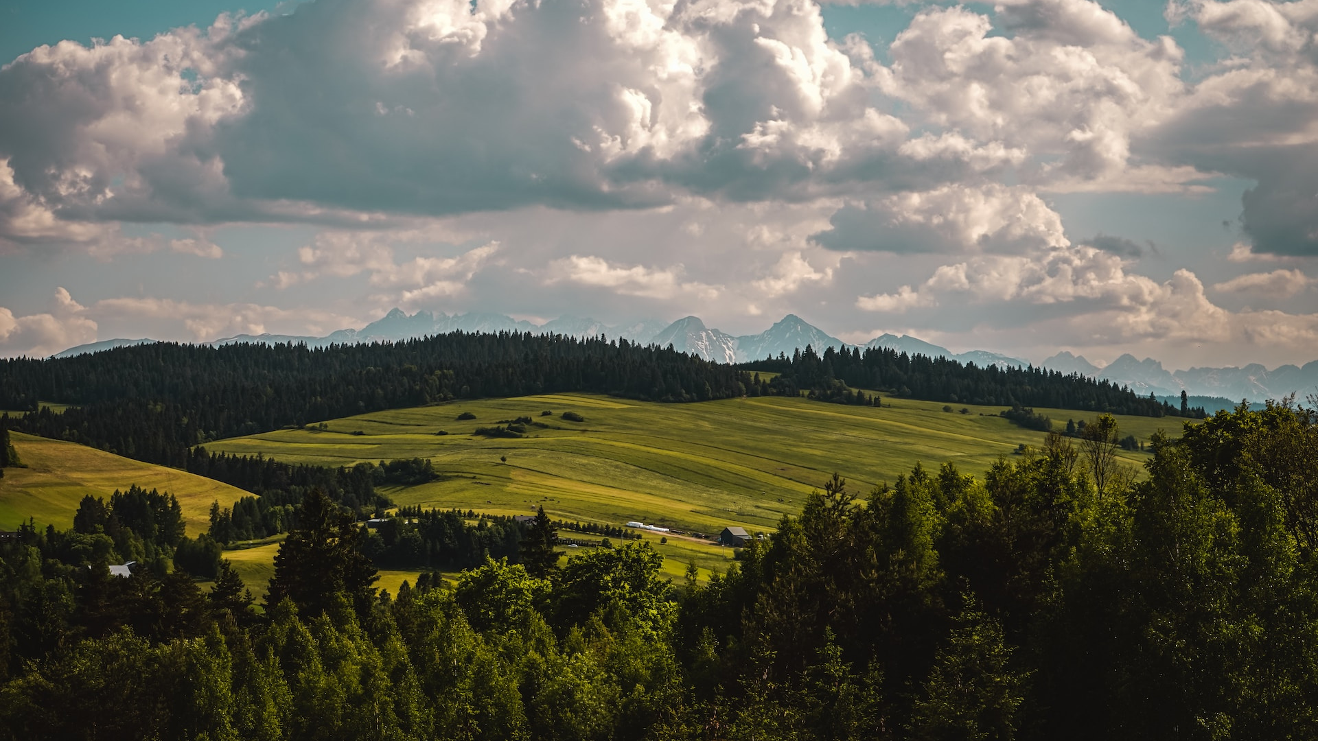 Pohľad na zelené kopce
