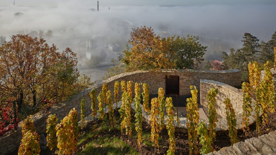 Na obrázku sú vinice z château Jabloňka.