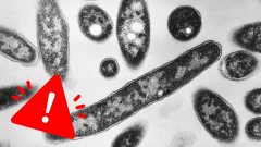 Baktéria Legionella spôsobuje problémy v Poľsku, môže ísť o sabotáž