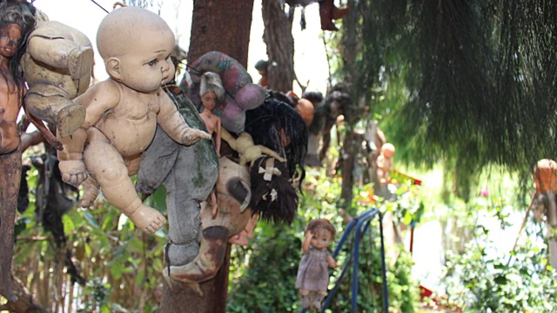 na snímke sú bábiky, ktoré visia zo stromu