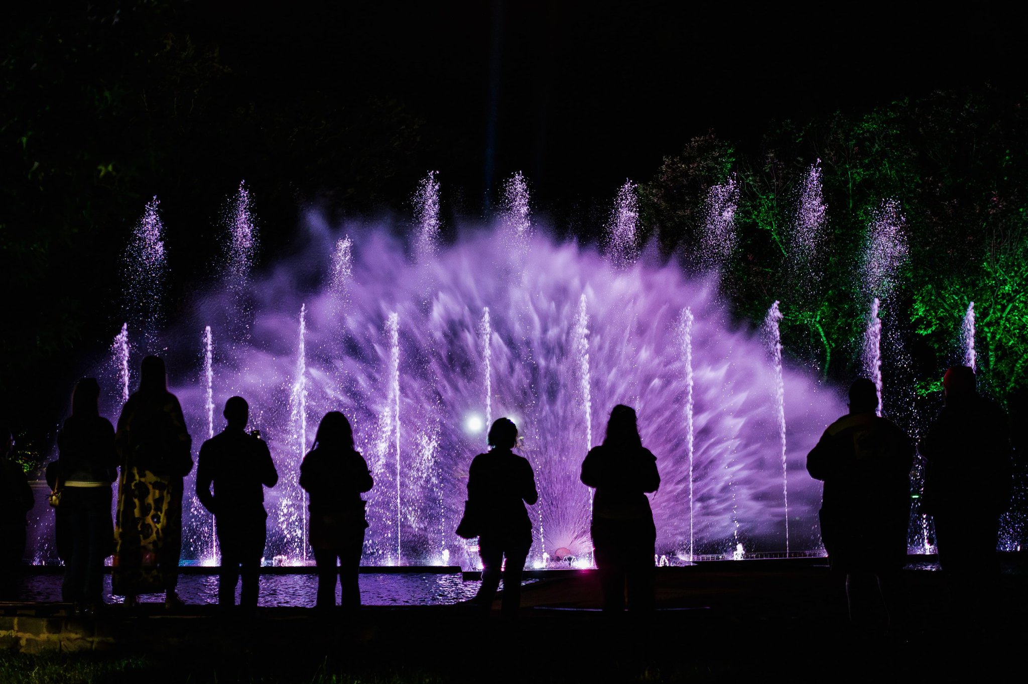 Pl†vaj£ca font†na_3-min