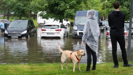 Na snímke sú dvaja ľudia so psom